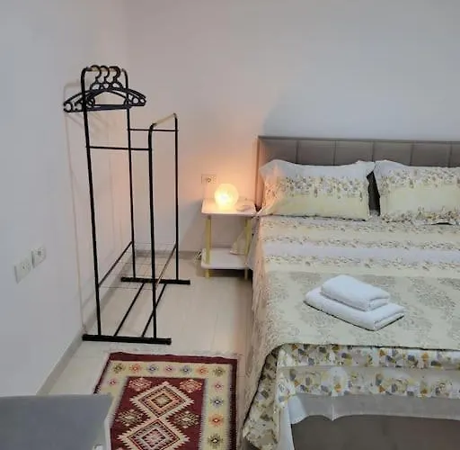 Rudi 1 In * 地拉那